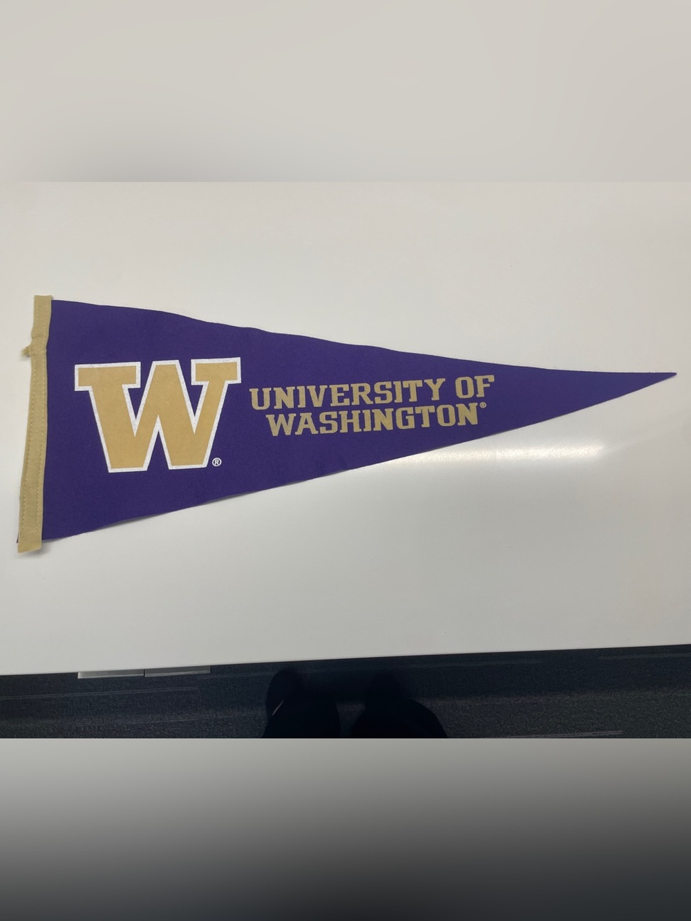 🚩 University of Washington Purple & Gold Pennant 🚩